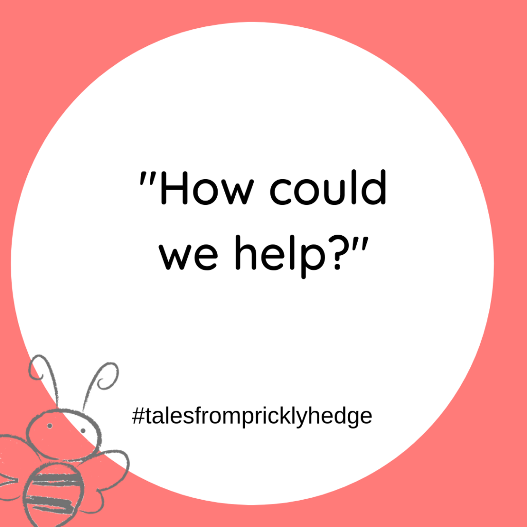 ? ? ? BOOK QUOTES "How could we help?" What can you do today that helps wildlife? #pricklyhedge #bookquotes #savewildlife