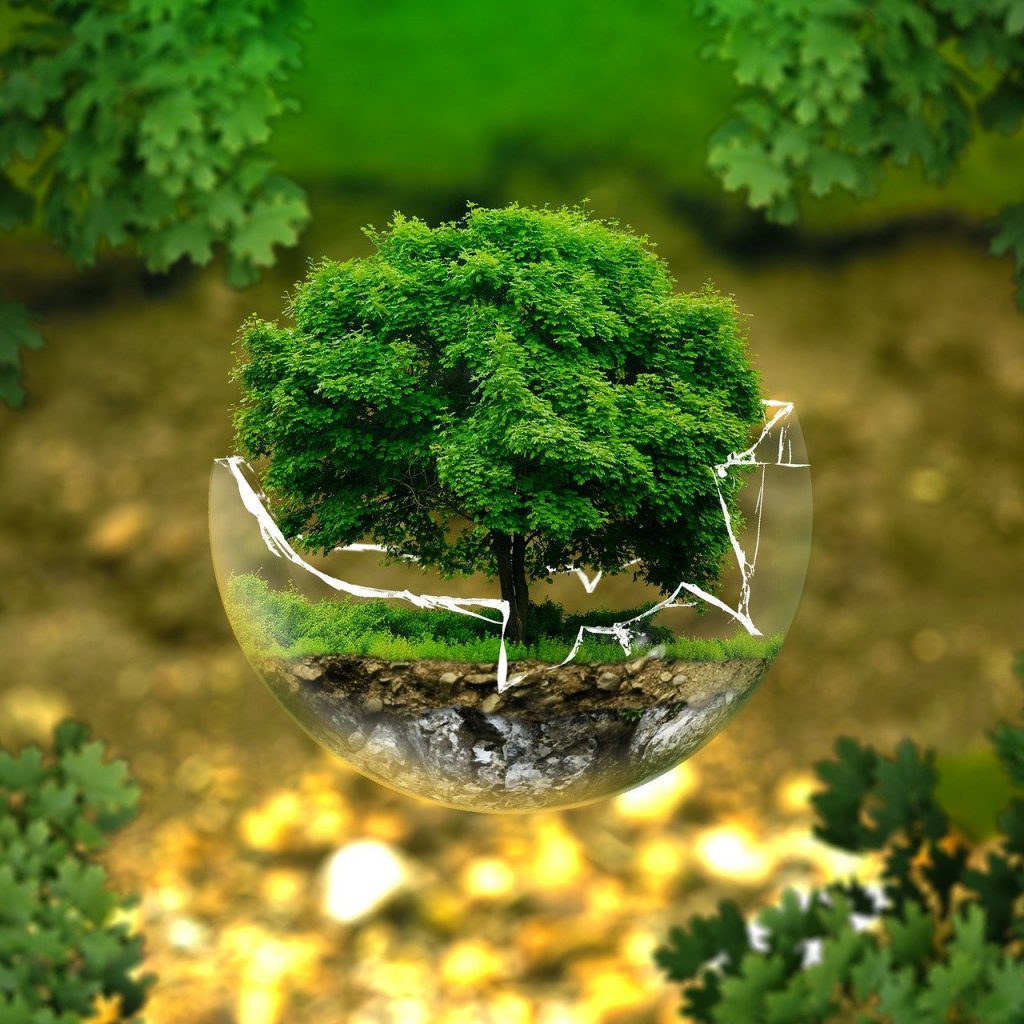 Tree in a broken glass globe